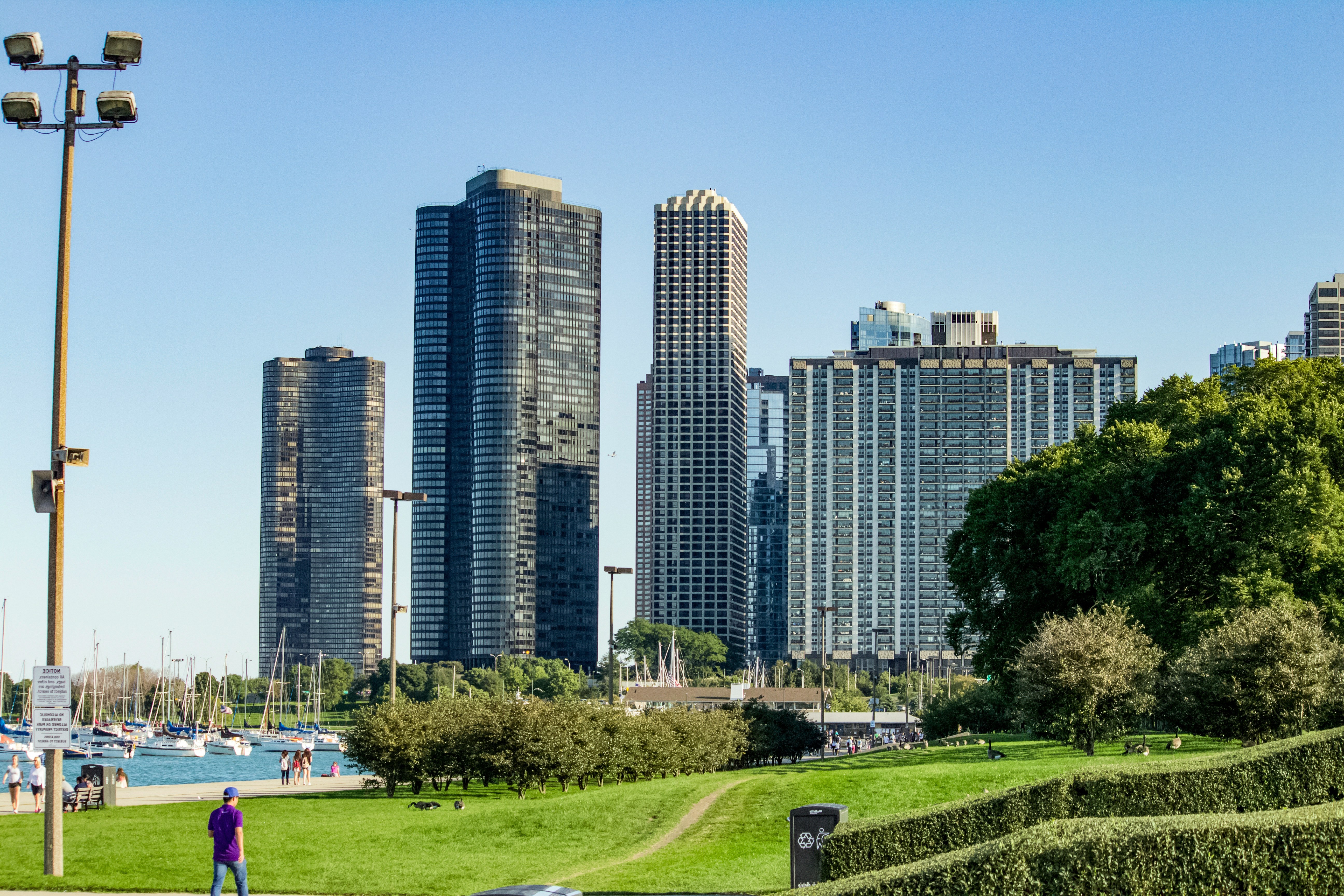Prédios residenciais vistos a partir de uma área verde, em dia claro
